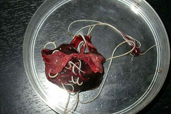 Шашты пенис сағаты Ресейлік студенттер үйде топтық секс